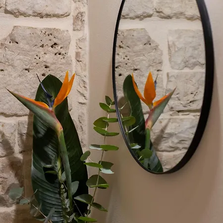 Pensión 20 Conversano