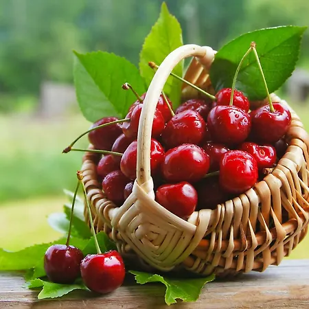 20 Pensionat Conversano